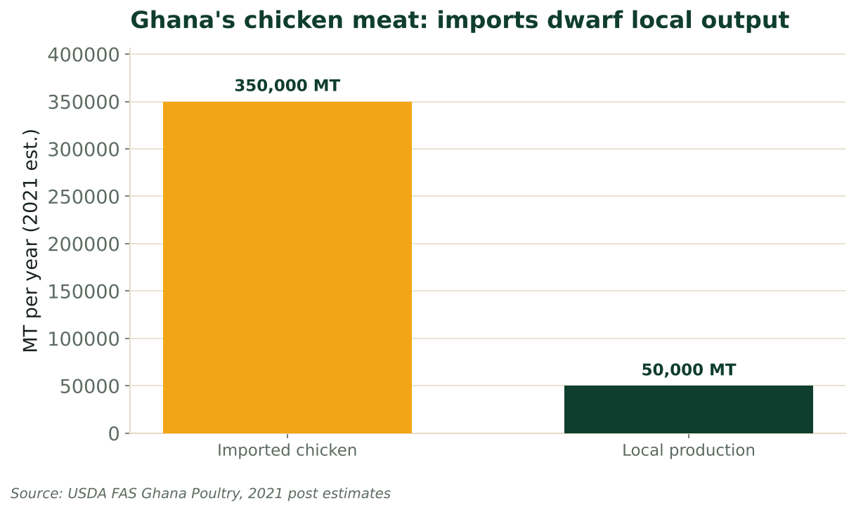 Bar chart comparing Ghana's ~350,000 MT chicken imports with ~50,000 MT local production in 2021. Source: USDA FAS Ghana Poultry.
