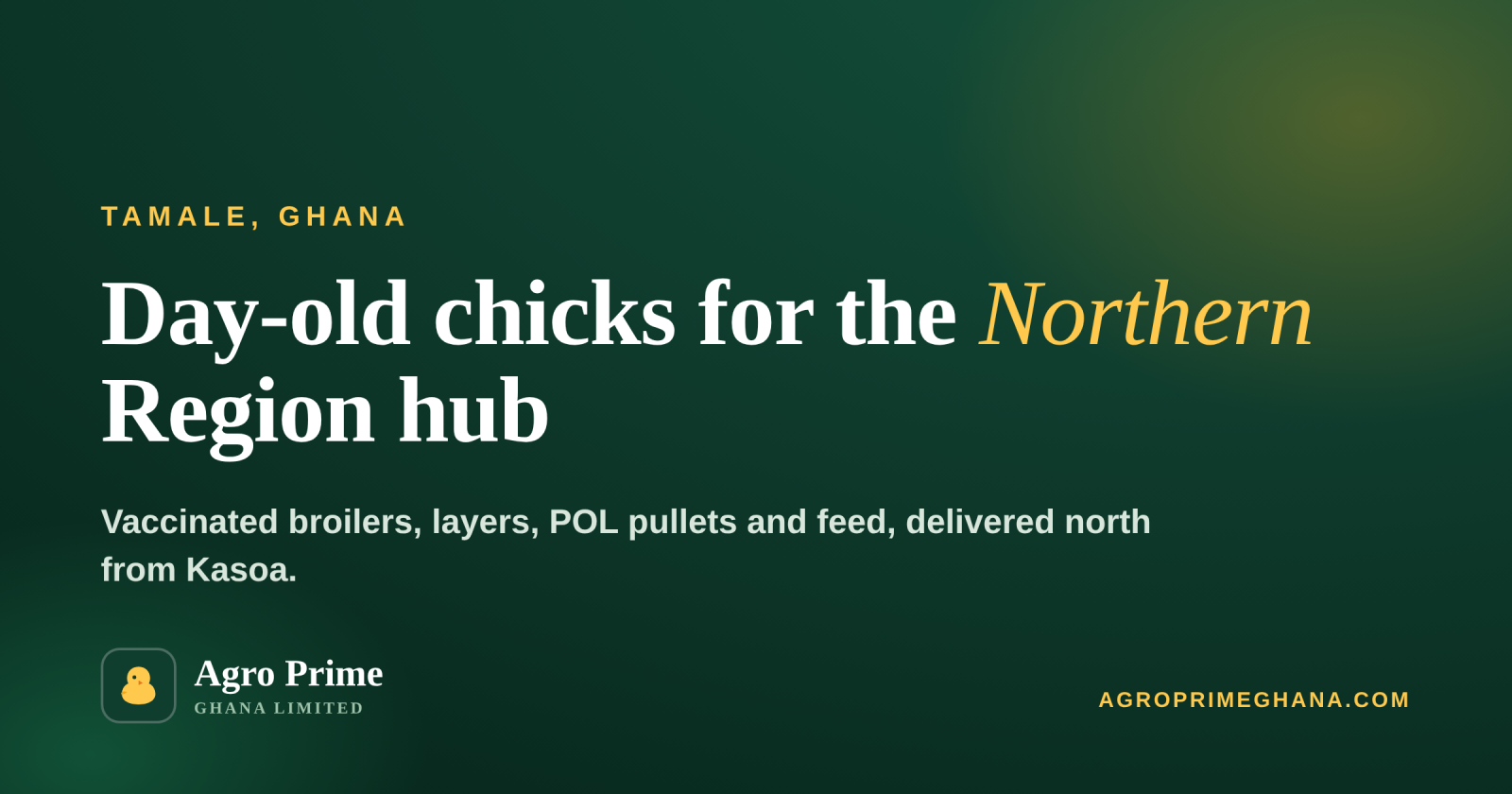 Day-Old Chicks in Tamale — Agro Prime Ghana
