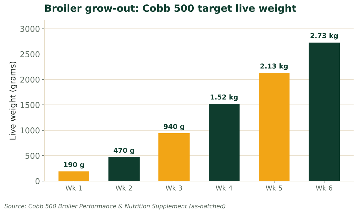 Bar chart of Cobb 500 broiler target live weight by week, rising from 190 g at week 1 to 2.73 kg at week 6. Source: Cobb-Vantress.