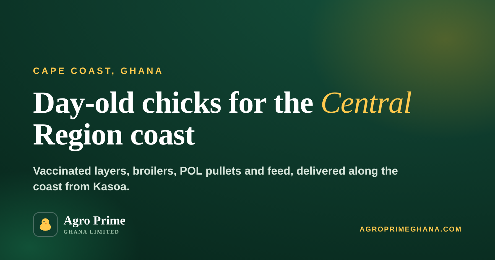 Day-Old Chicks in Cape Coast — Agro Prime Ghana
