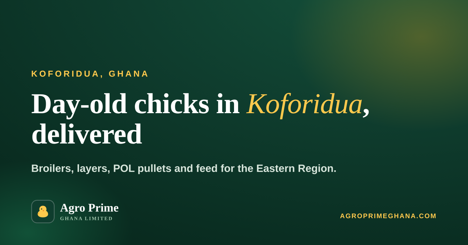 Day-Old Chicks in Koforidua: Broilers, Layers & Pullets — Agro Prime Ghana