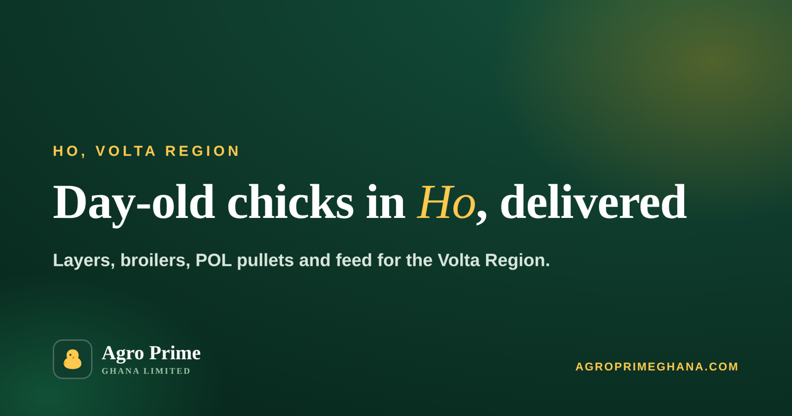 Day-Old Chicks in Ho: Layers, Broilers & POL Pullets — Agro Prime Ghana