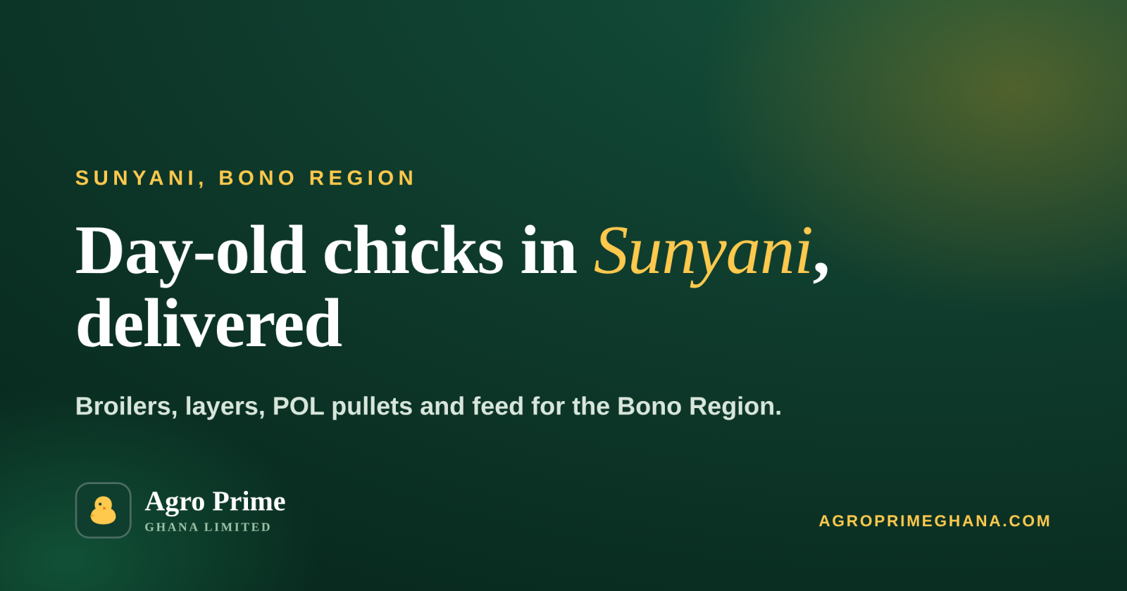 Day-Old Chicks in Sunyani: Broilers, Layers & Pullets — Agro Prime Ghana
