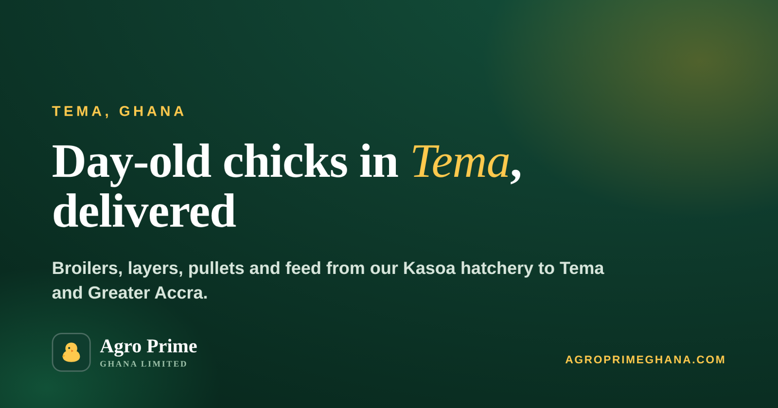 Day-Old Chicks in Tema — Agro Prime Ghana