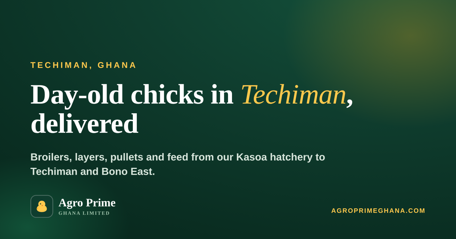 Day-Old Chicks in Techiman — Agro Prime Ghana