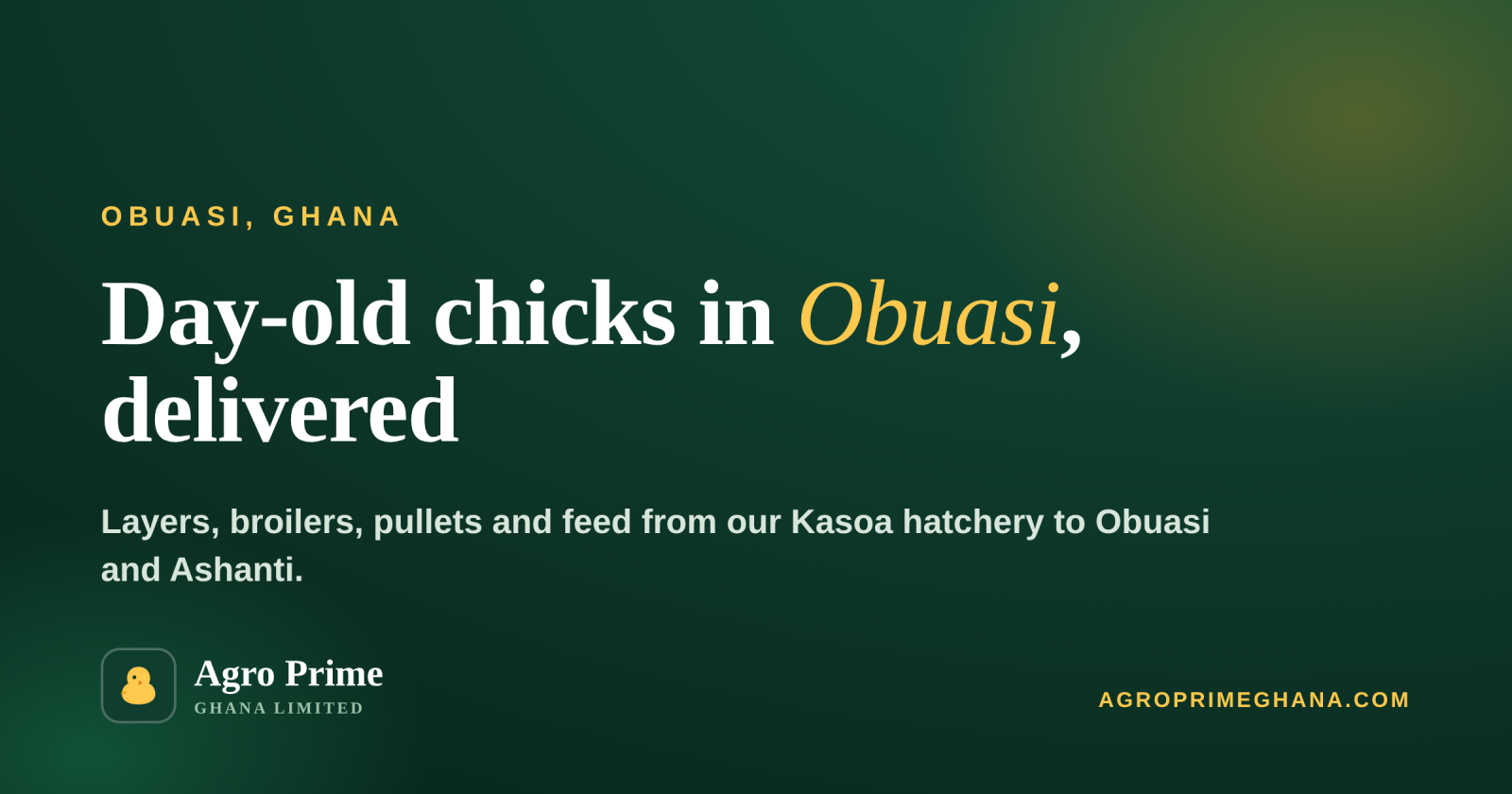 Day-Old Chicks in Obuasi — Agro Prime Ghana