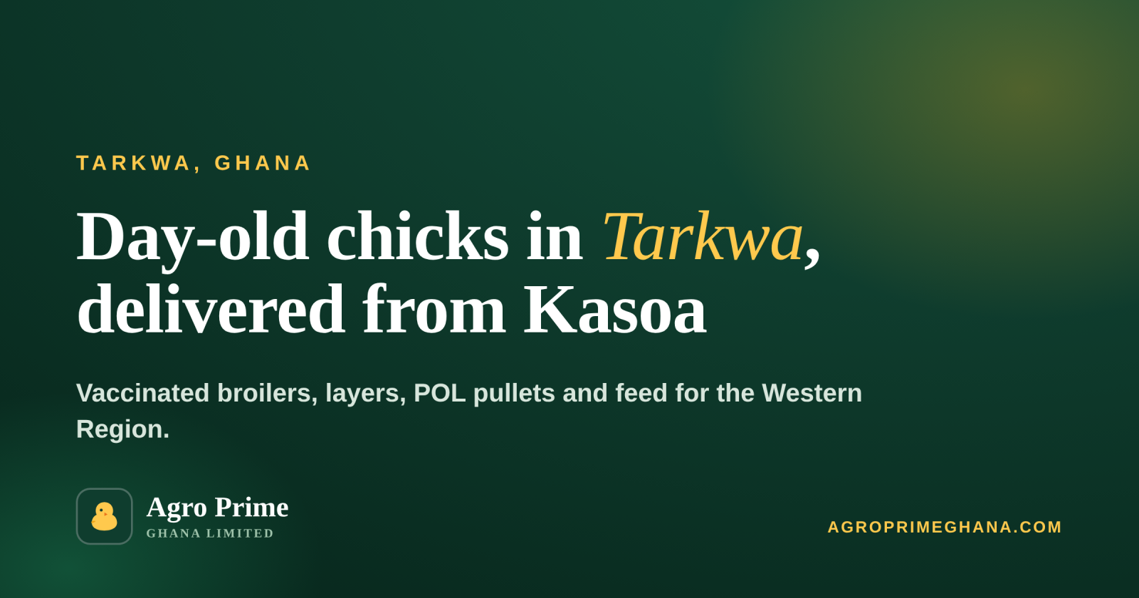 Day-Old Chicks in Tarkwa — Agro Prime Ghana