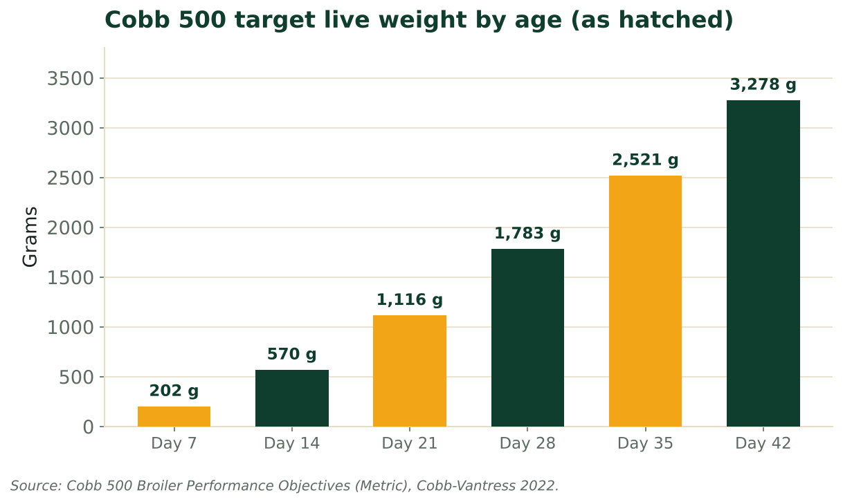 Column chart of Cobb 500 target weight: 202 g at day 7, 2,521 g at day 35, 3,278 g at day 42. Source: Cobb-Vantress 2022.