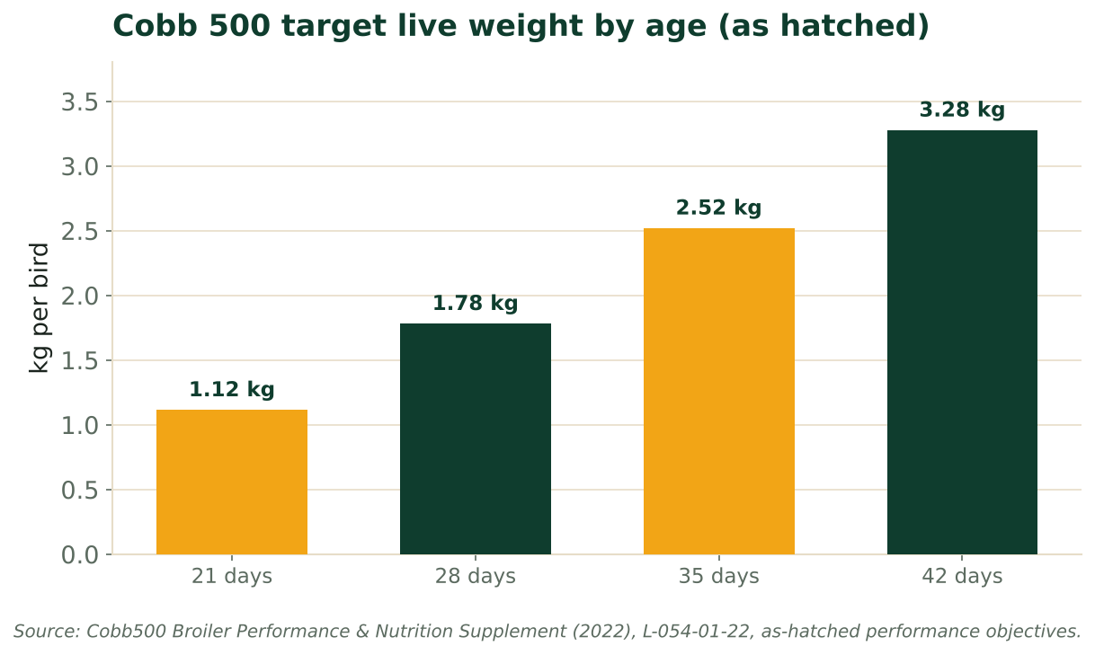 Bar chart of Cobb 500 target live weight by age, from 1.12 kg at 21 days to 3.28 kg at 42 days. Source: Cobb500 Performance and Nutrition Supplement (2022).