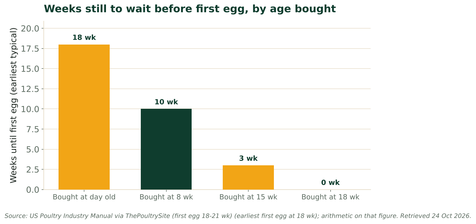 Bar chart of weeks still to wait before first egg, from 18 weeks for a day-old chick down to 0 for an 18-week pullet. Source: US Poultry Industry Manual.