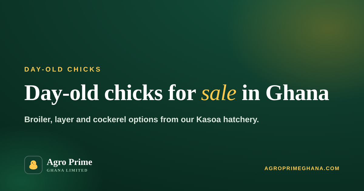 Day-Old Chicks for Sale in Ghana: Broiler, Layer and Cockerel Options — Agro Prime Ghana