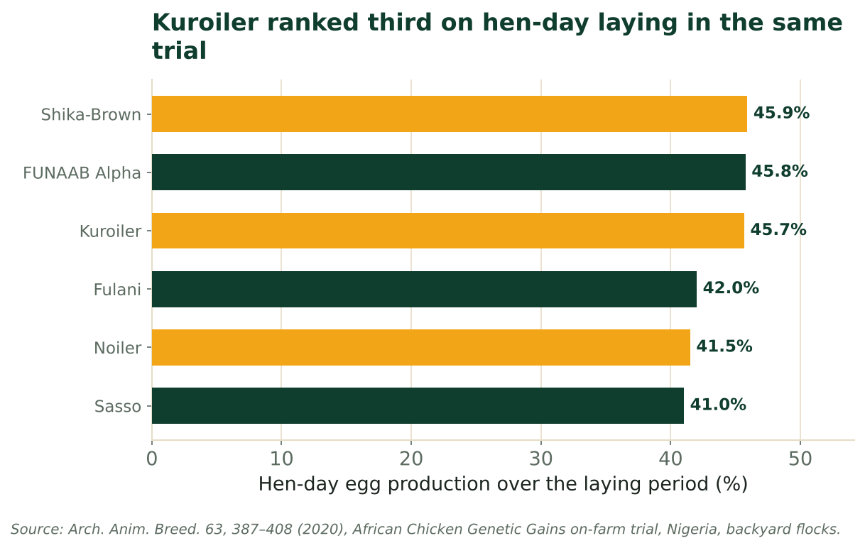 Horizontal bars show hen-day laying rates for six dual-purpose breeds, with Kuroiler third at about 45.7 percent. Source: Archives of Animal Breeding 63 (2020).