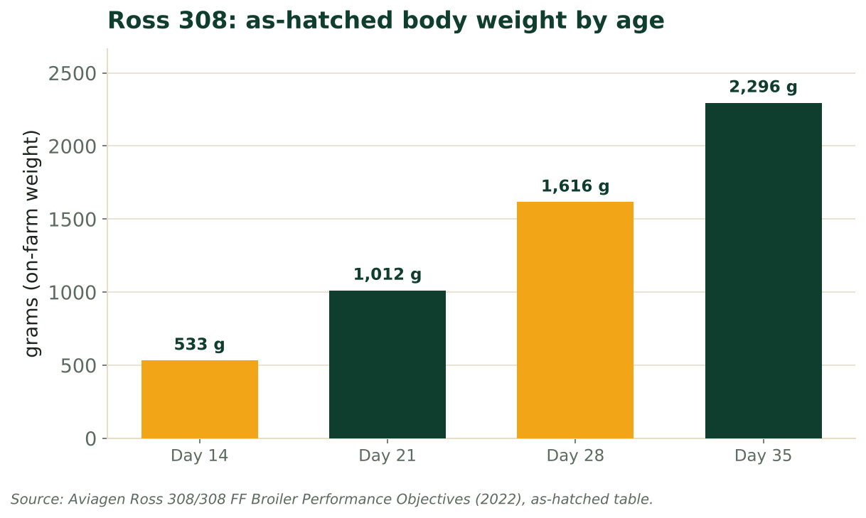 Bars show Ross 308 as-hatched weight rising from 533 g at day 14 to 2,296 g at day 35. Source: Aviagen Ross 308 Performance Objectives (2022).