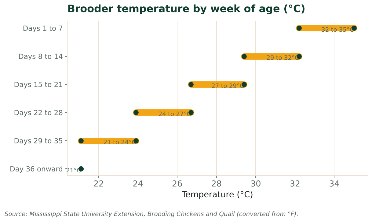 Range chart of recommended brooder temperature by week of age in Celsius, for day-old chicks, from Mississippi State University Extension.