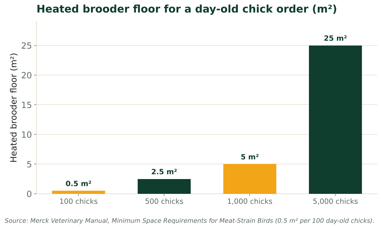 Column chart of heated brooder floor for 100, 500, 1,000 and 5,000 day-old chicks, at 0.5 m2 per 100, from the Merck Veterinary Manual.