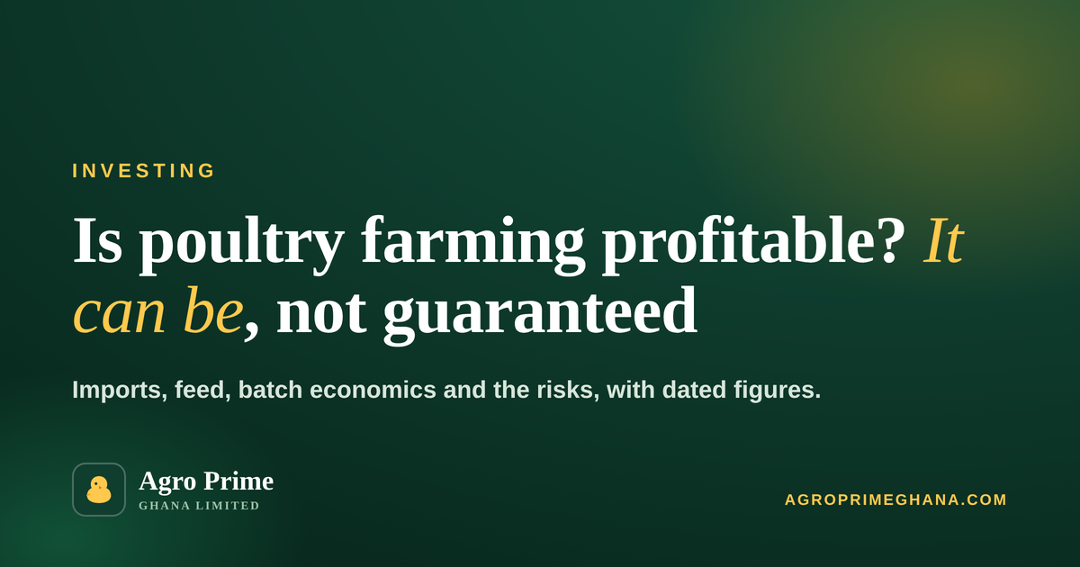 Is Poultry Farming Profitable in Ghana? An Honest Answer — Agro Prime Ghana