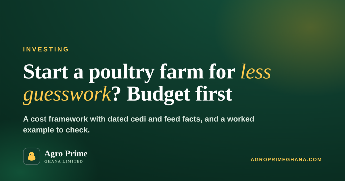 How Much to Start a Poultry Farm in Ghana: A Budget Framework — Agro Prime Ghana